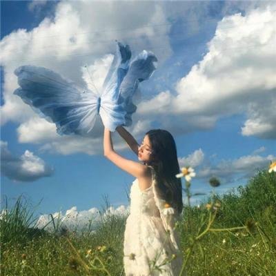 琴韵情深